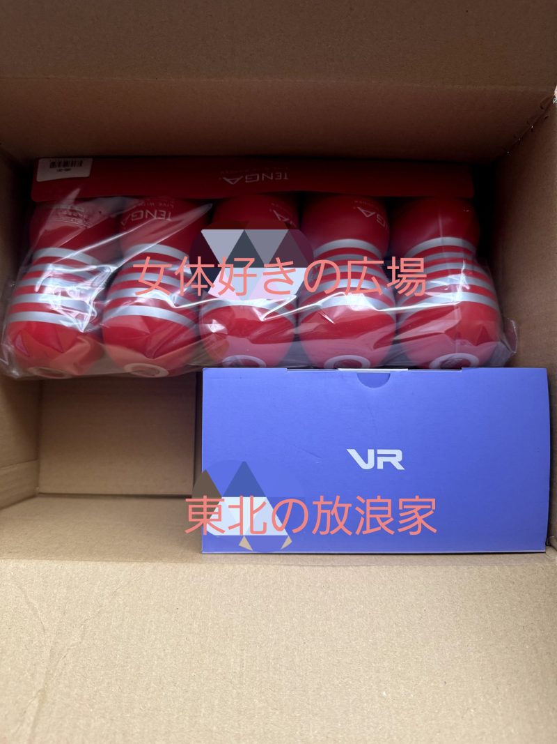 VR動画とテンガ