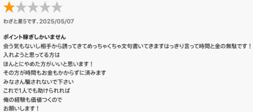 間違ったレビュー